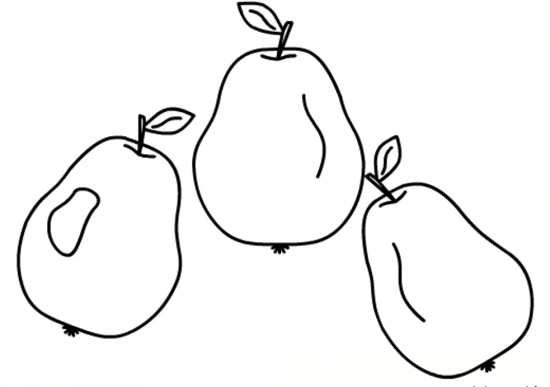  عکس گلابی نقاشی