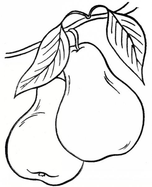  عکس گلابی نقاشی