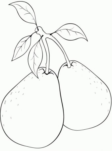  عکس گلابی نقاشی