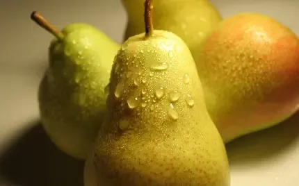  عکس گلابی فانتزی