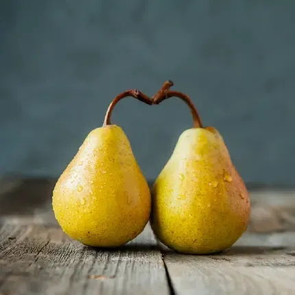  عکس میوه گلابی واقعی