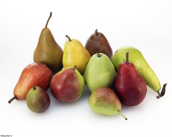  عکس های گلابی جنگلی