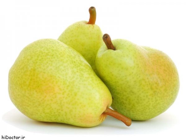  عکس های گلابی جنگلی
