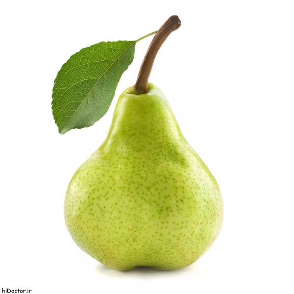  عکس گلابی روی درخت