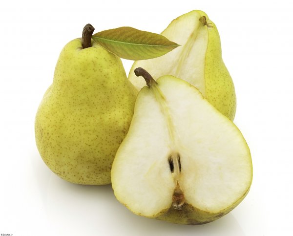  عکس گلابی روی درخت