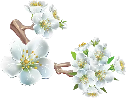  عکس گلابی برای پروفایل واتساپ و تلگرام