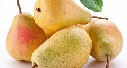 عکس گلابی برای استوری اینستاگرام