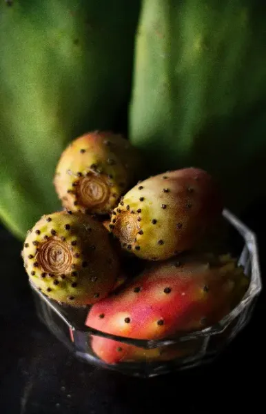 عکس گلابی برای استوری اینستاگرام