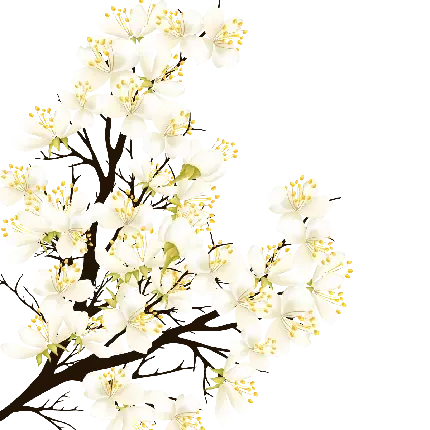 عکس گلابی برای استوری اینستاگرام