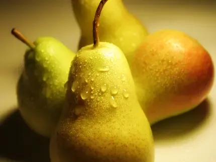 عکس گلابی برای استوری اینستاگرام