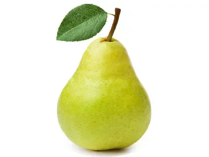 عکس گلابی برای استوری اینستاگرام