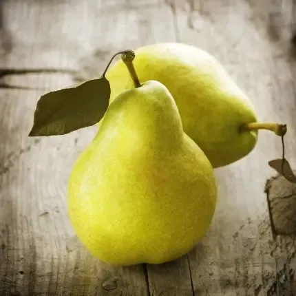 عکس گلابی برای بک گراند گوشی موبایل
