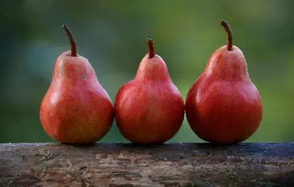  والپیپر گلابی نرم و آب دار