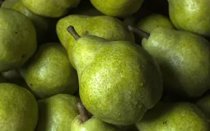  والپیپر گلابی نرم و آب دار