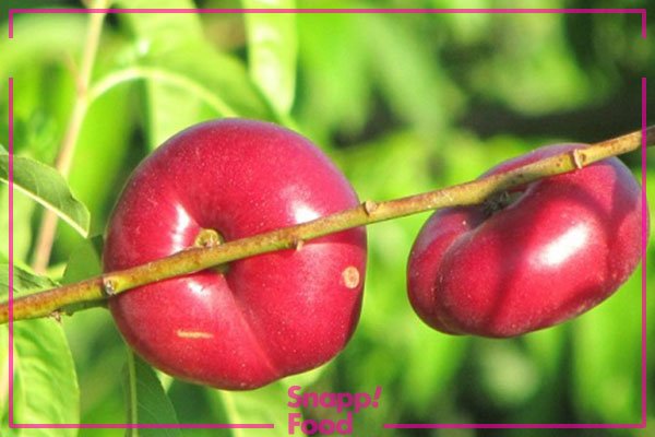  عکس میوه های خوشمزه
