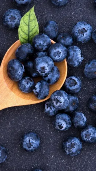  عکس پروفایل میوه برای گوشی