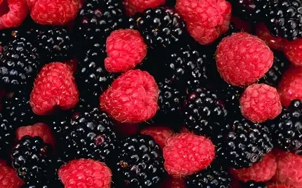  عکس پروفایل میوه برای گوشی