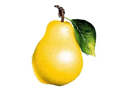  عکس میوه برای تصویر زمینه