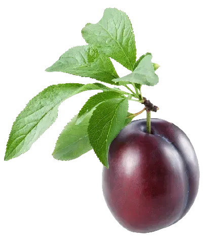  عکس میوه برای تصویر زمینه