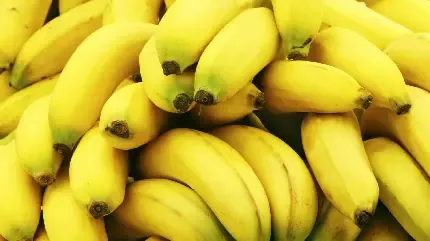  عکس میوه با کیفیت