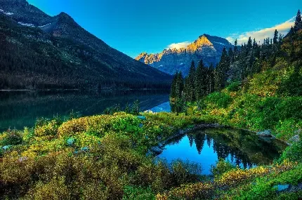  عکس 8k از طبیعت