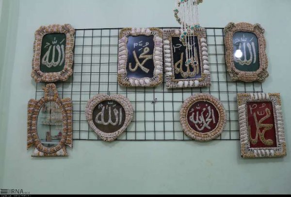 عکس صدف های چابهار