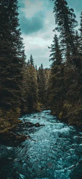 پس زمینه رودخانه طبیعی برای گوشی موبایل