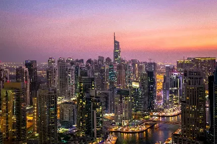  عکس شیر واقعی