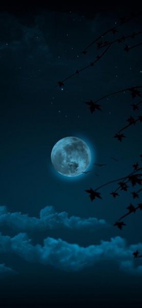  دانلود عکس با کیفیت از ماه