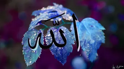  دانلود عکس با کیفیت الله