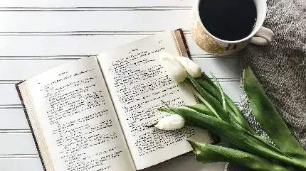  تصویر زمینه مینیمال قهوه صبحگاهی