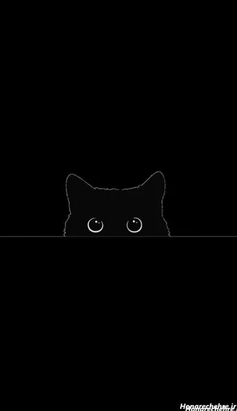  عکس گربه سیاه برای پروفایل HD