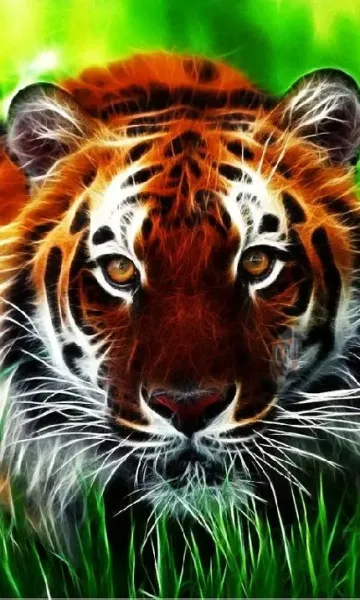  عکس پس زمینه ببر وحشی