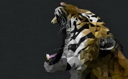  عکس ببر طلایی بنگال