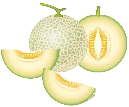  دانلود عکس طالبی کارتونی