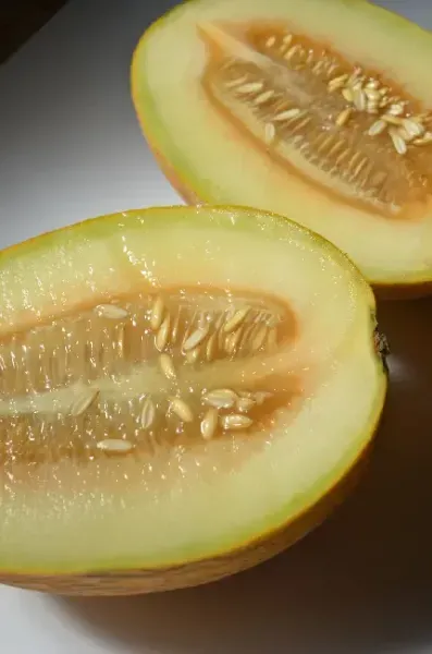 عکس طالبی خوشمزه برای استوری