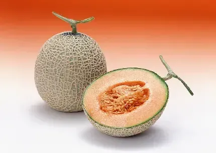  عکس طالبی خوشمزه برای استوری