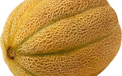  عکس طالبی خوشمزه برای استوری