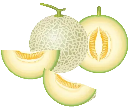  عکس طالبی خوشمزه برای استوری