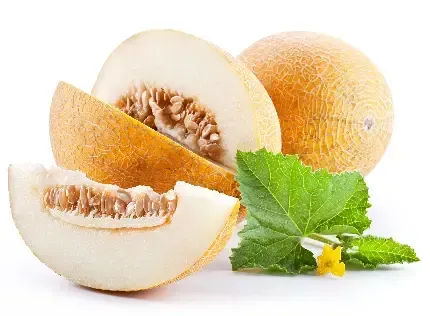  عکس طالبی خوشمزه برای استوری