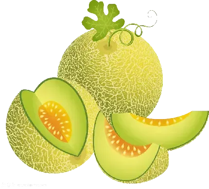  عکس طالبی خوشمزه برای استوری