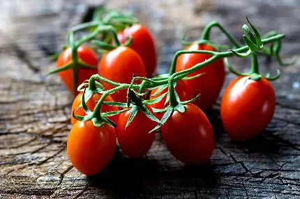  عکس گوجه فرنگی های تازه برای پروفایل