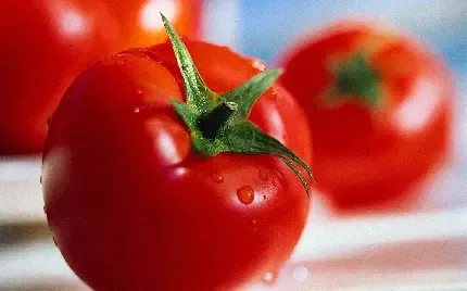  عکس گوجه فرنگی های تازه برای پروفایل