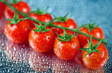  عکس گوجه فرنگی های تازه برای پروفایل