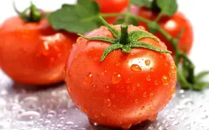  عکس گوجه گیلاسی