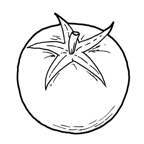  عکس گوجه فانتزی