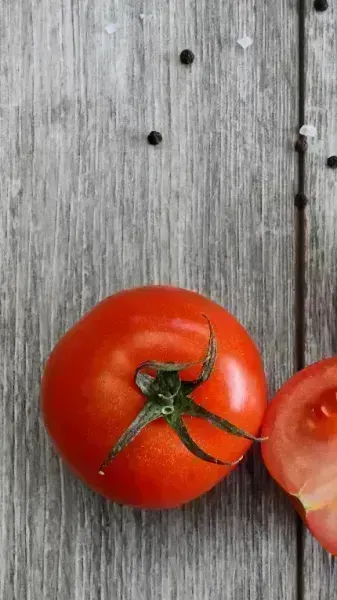 عکس با کیفیت گوجه فرنگی باران خورده