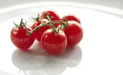  عکس با کیفیت گوجه فرنگی باران خورده