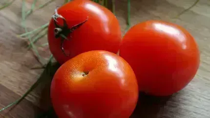  عکس با کیفیت گوجه فرنگی باران خورده