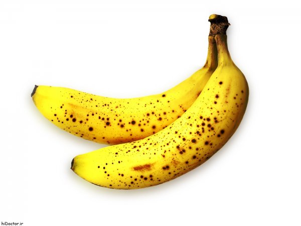  عکس موز واقعی